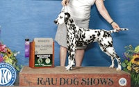 a woman with a dalmatian holding a trophy
