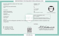 a certificate for the foundation for animals, nc